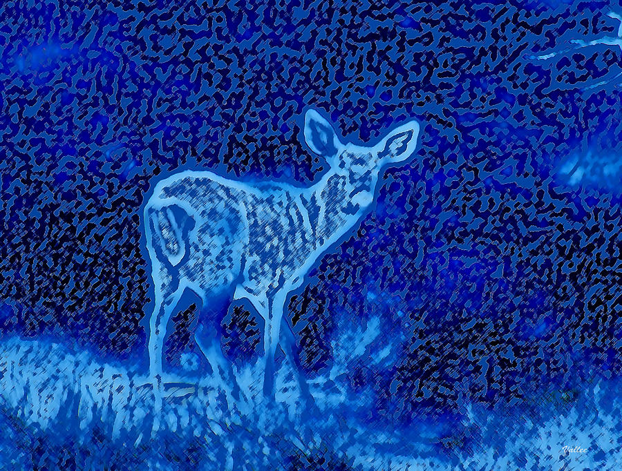 Night Deer Digital Art by Vallee Johnson