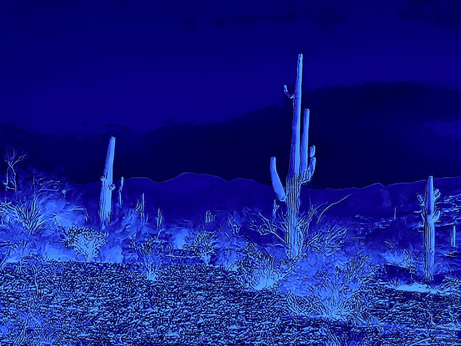 Night Desert Blue Photograph by Judy Kennedy