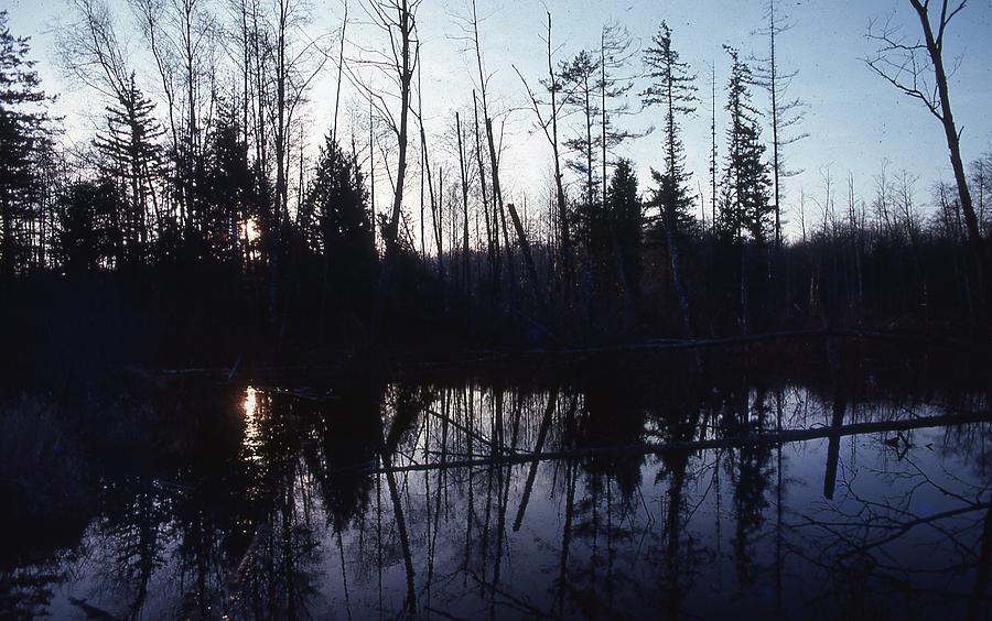 Night Falls On The Swamp Photograph by Lawrence Christopher