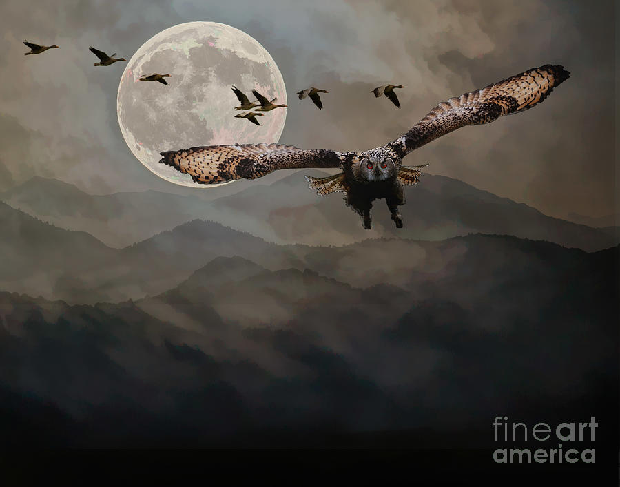 Night Flyers Digital Art by Deb Nakano