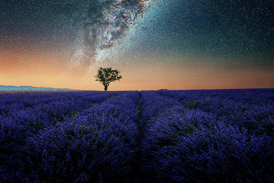 Summer Photograph - Night In Provence by Manjik Pictures