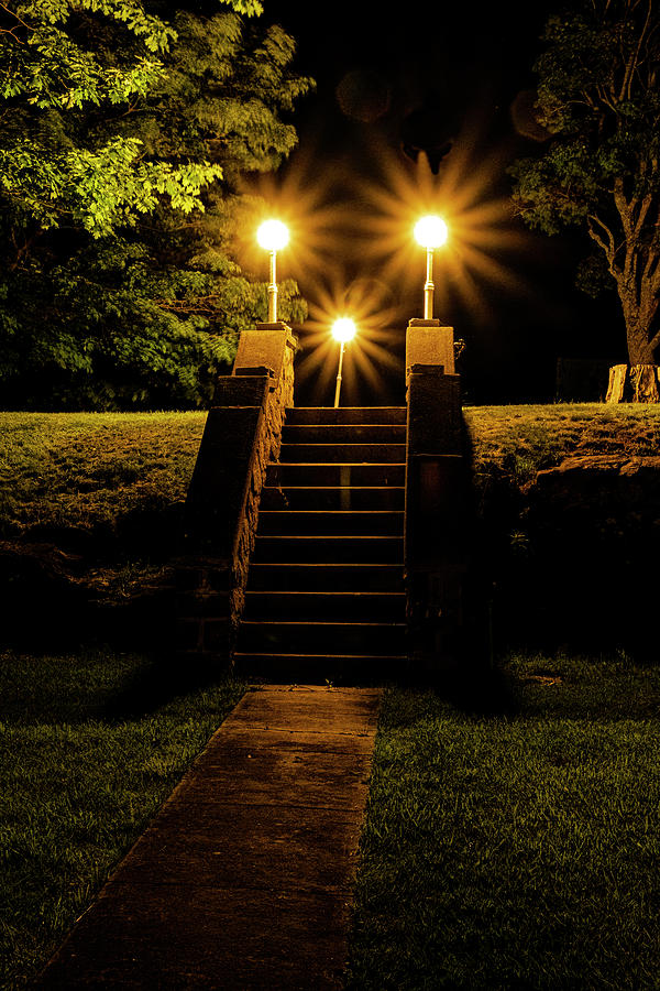 Night Lampposts Photograph by Tom Singleton