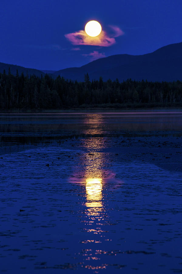 Night Moon Pond Reflections Photograph by White Mountain Images