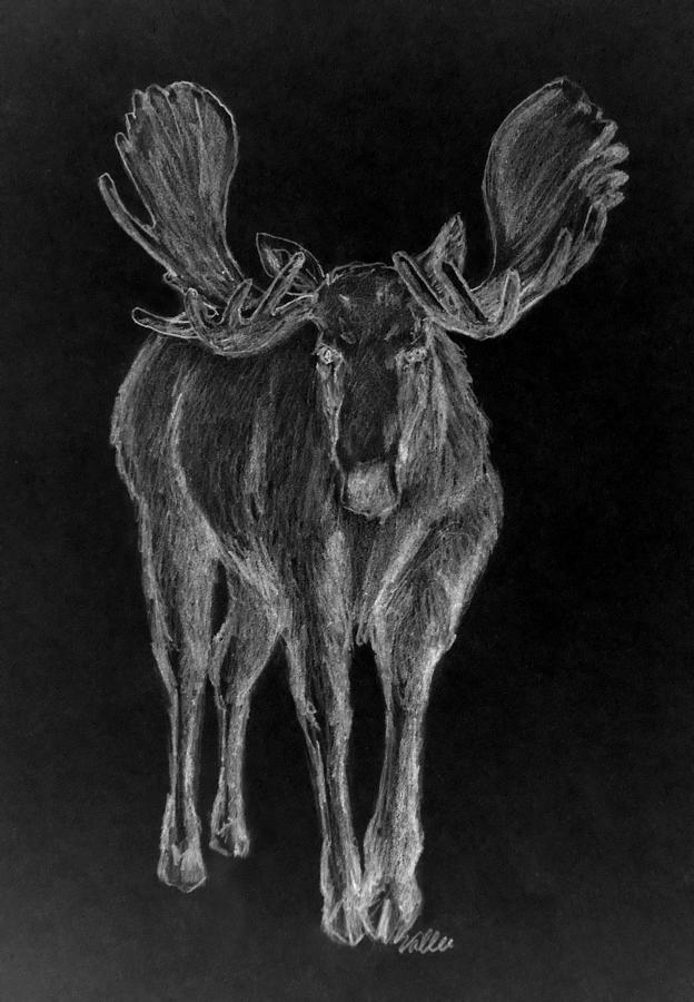 Night Moose Drawing by Vallee Johnson