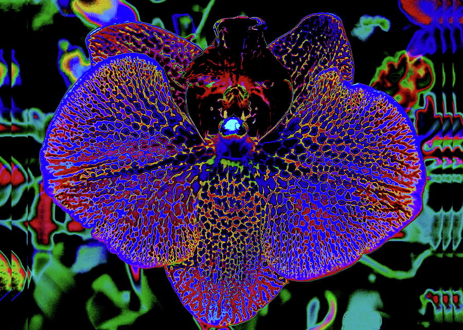 Night Moth Digital Art by Larry Beat