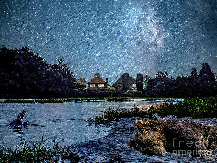 Night Night Sleepy Bear Photograph by Jennifer White - Fine Art America