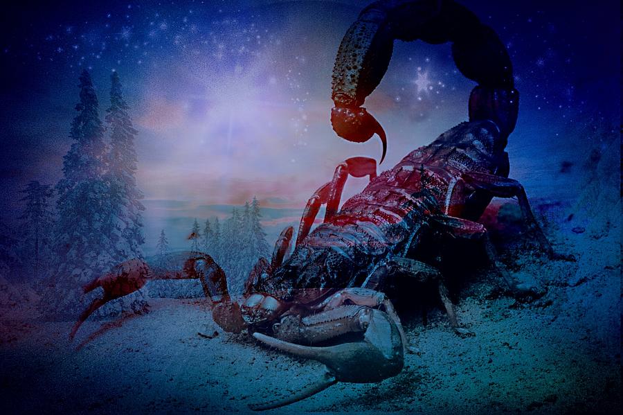 night-of-the-scorpion-digital-art-by-rodolfo-aguirre-fine-art-america