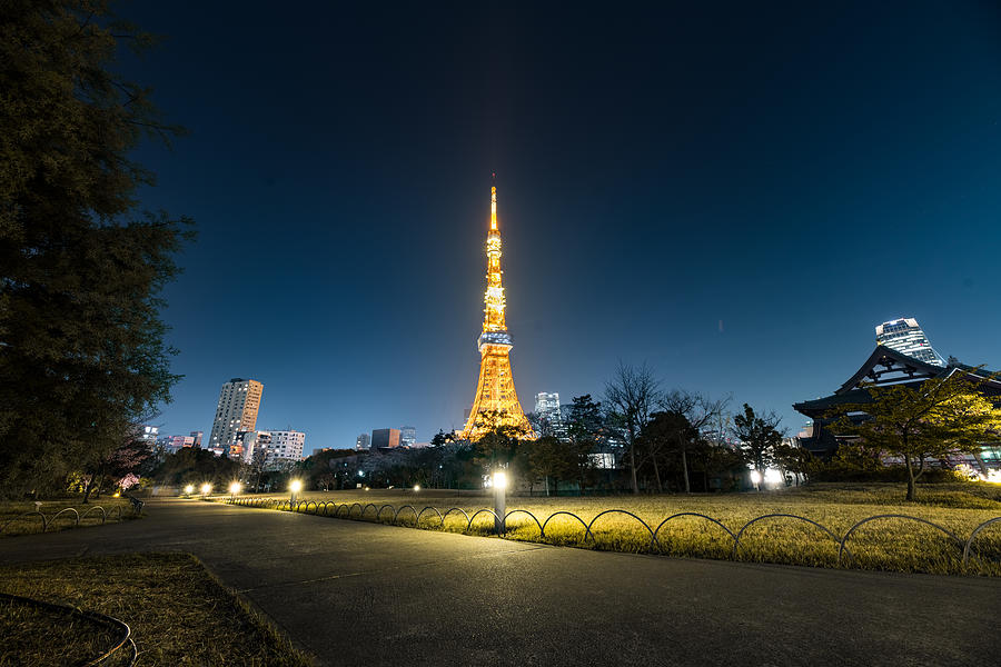 Night of Tokyo tower in Shiba Park Photograph by Yang Zhuo