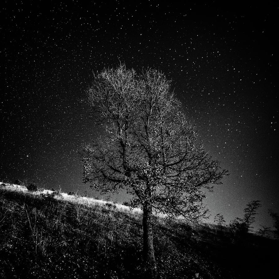 Night on earth 10 Photograph by George Vlachos