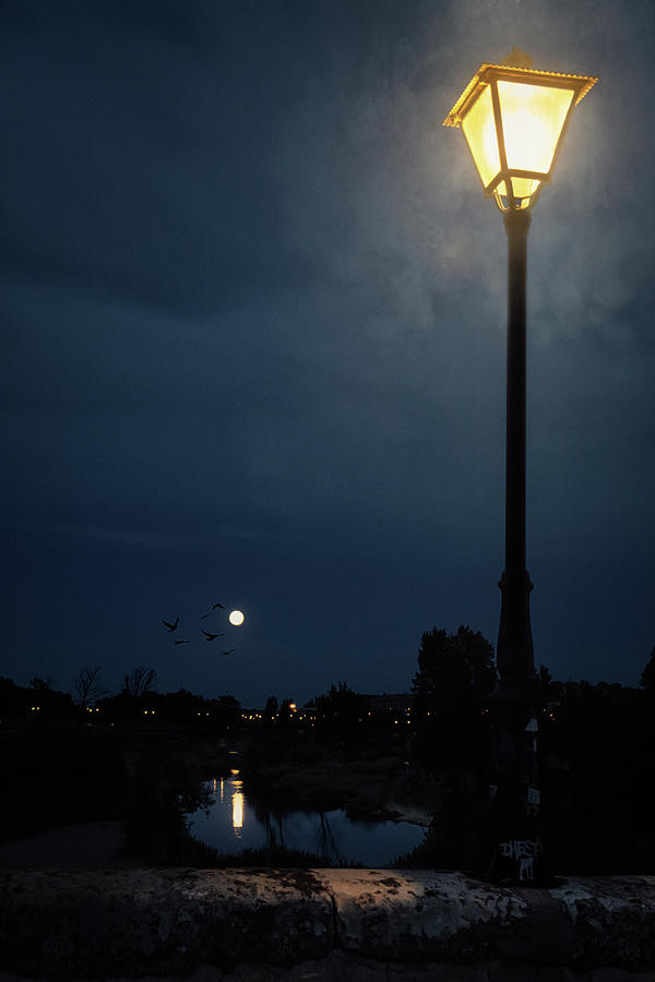 Night on the Douro River Photograph by Micah Offman