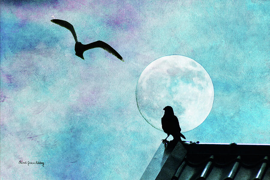 Night on the Roof Photograph by Randi Grace Nilsberg Night on the Roof Photograph by Randi Grace Nilsberg