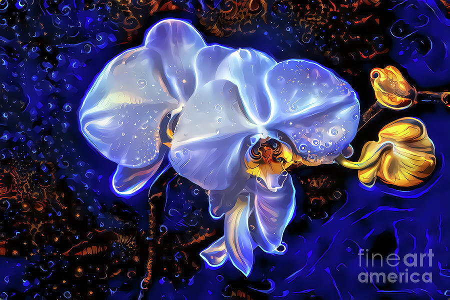 Orchid Digital Art - Night Orchids by Elisabeth Lucas