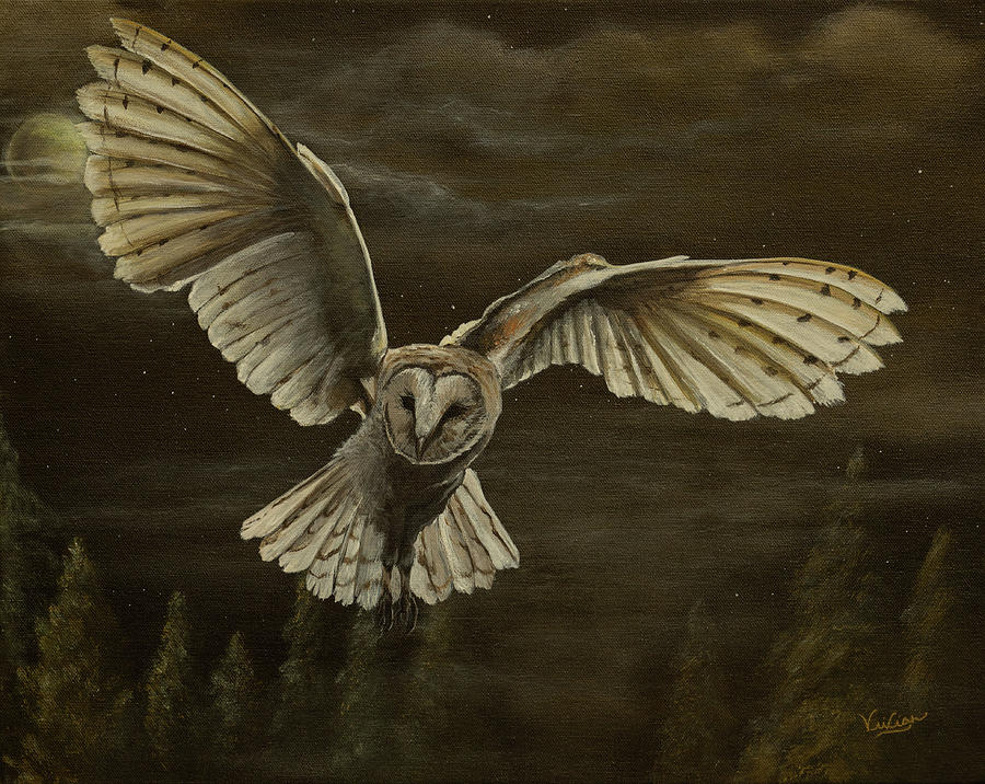 Owl Painting - Night Owl, Barn Owl by Vivian Casey Fine Art