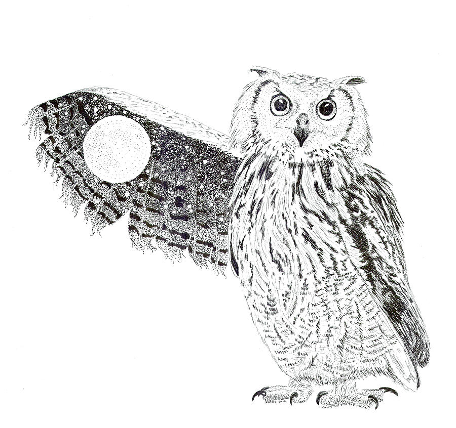 Night Owl Drawing by Jenny Armitage
