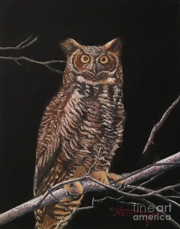 Night owl Pastel by John Huntsman