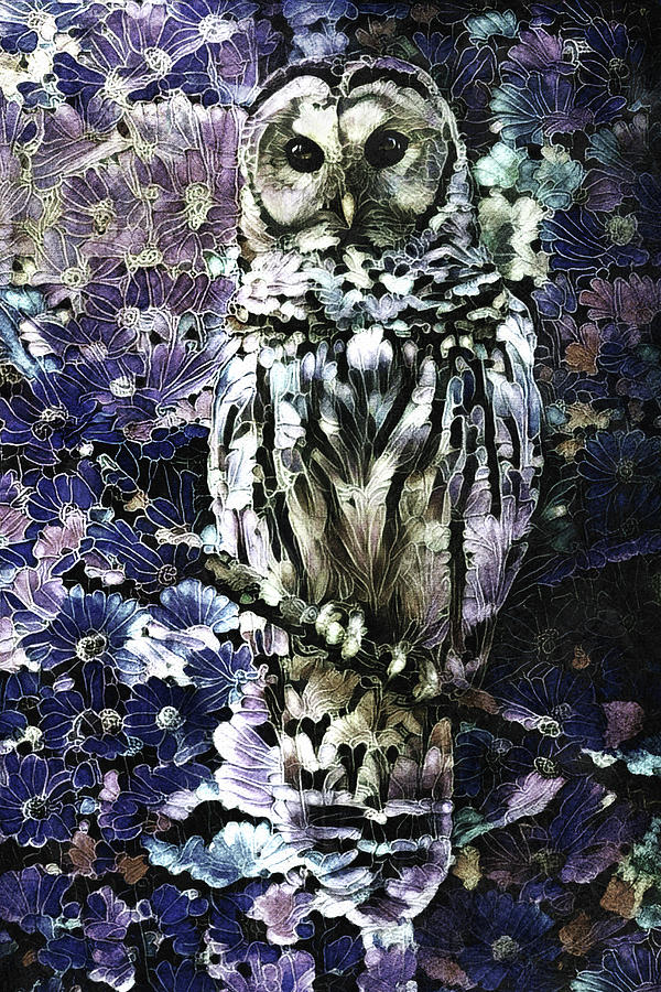 Night Owl Digital Art by Peggy Collins