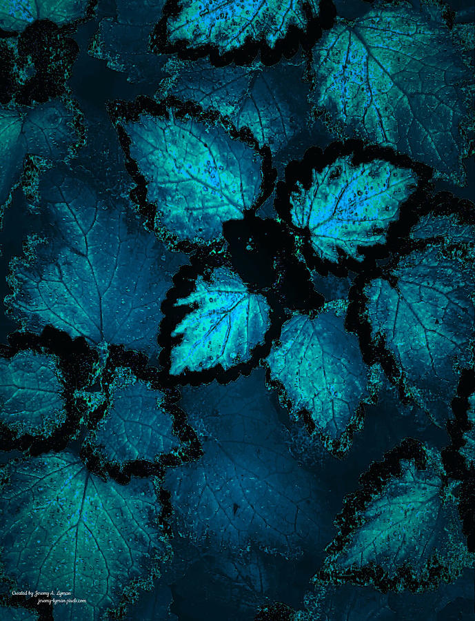 Night Shade of Blue Photograph by Jeremy Lyman