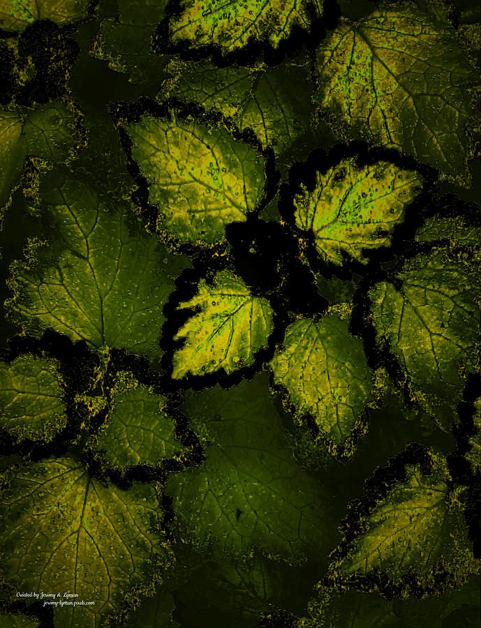 Night Shade of Green Digital Art by Jeremy Lyman