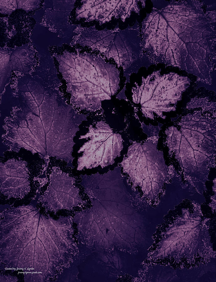 Night Shade of Violet Digital Art by Jeremy Lyman