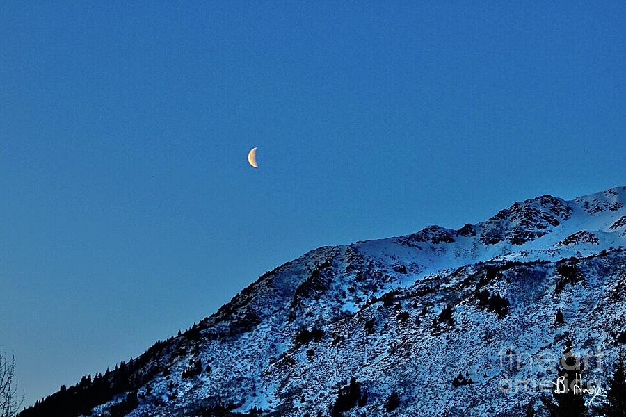 Night Skies Photograph By Brandy Hix Fine Art America 6268