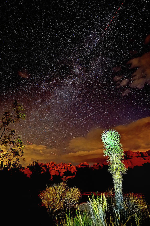 Night Sky - Joshua Tree National Park, California, USA Photograph by Amazing Action Photo Video