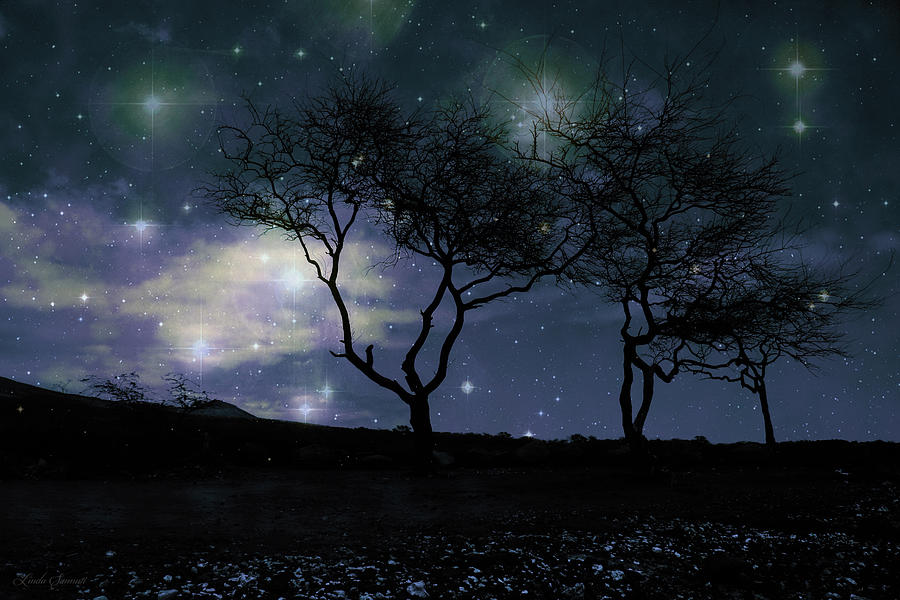 Night Sky Photograph by Linda Sannuti