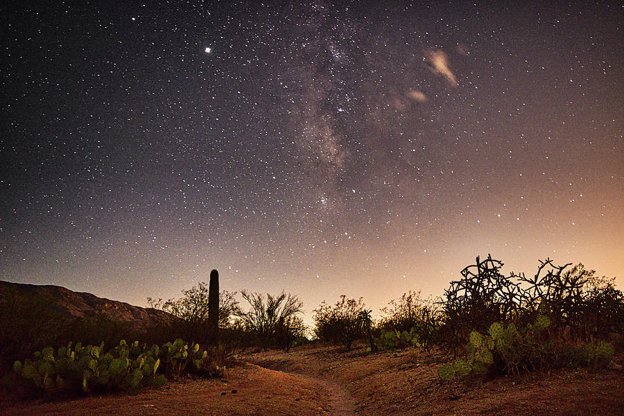 Night Sky over Saguaro National Park Photograph by Chance Kafka