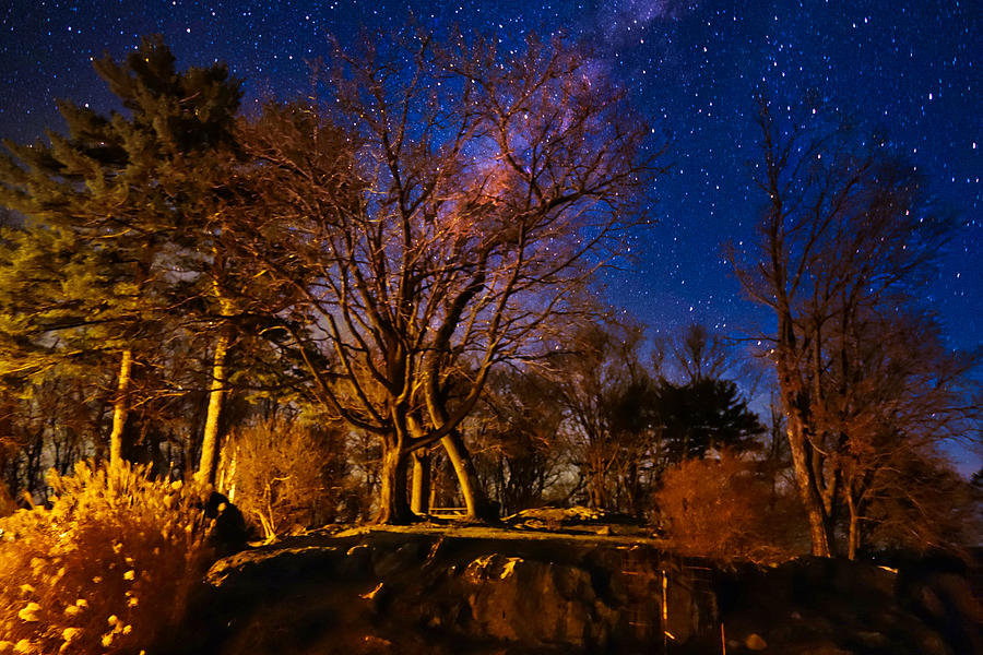 Night Sky Over Untermeyer Park Photograph by Russel Considine