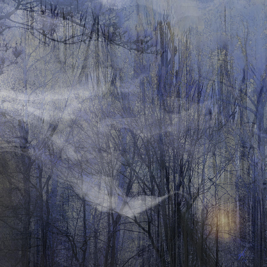 Night Song Digital Art by Gina Harrison