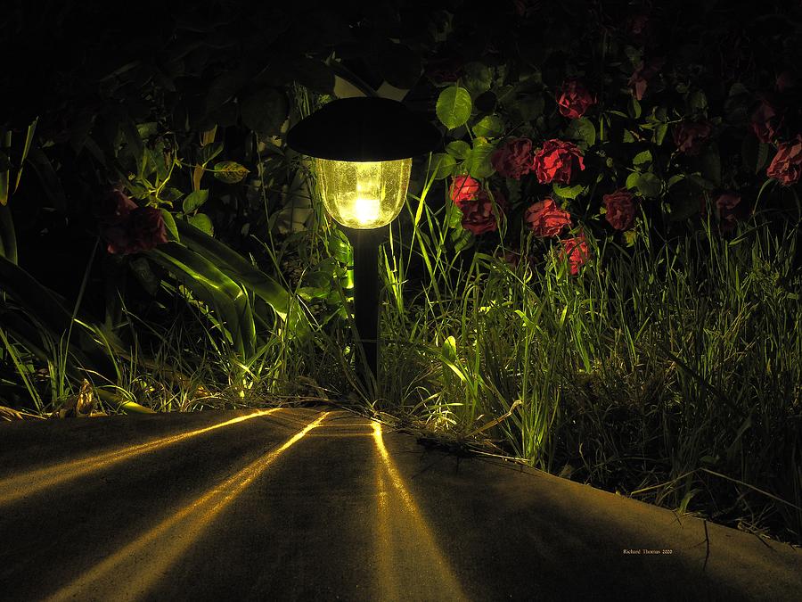 Night Still Life Photograph by Richard Thomas