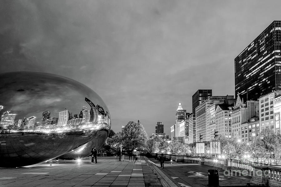 Night View From Chicago Millennium Grayscale Photograph by Jennifer White