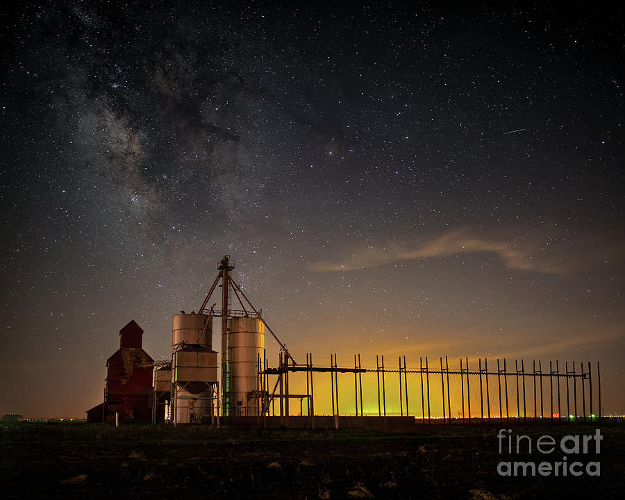 Night Watchmen of the High Plains  Photograph by Harriet Feagin