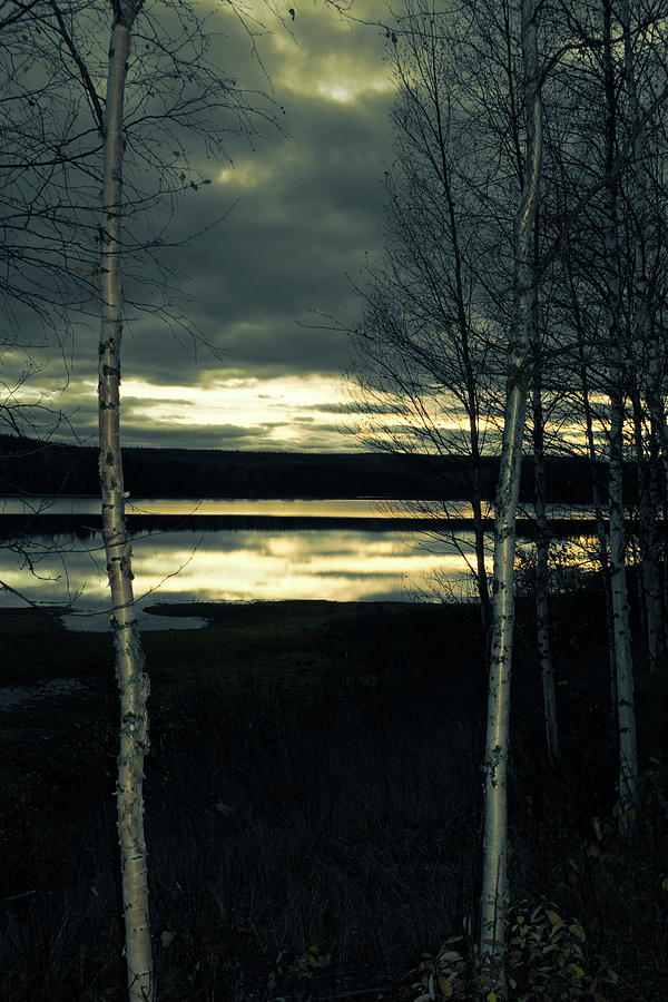 Nightfall at a birch forest day in autumn Photograph by Ulrich Kunst And Bettina Scheidulin