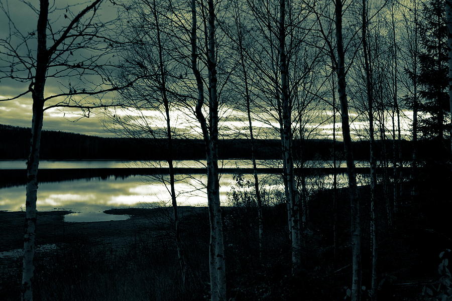 Nightfall at a forest day in autumn - duotone Photograph by Ulrich Kunst And Bettina Scheidulin