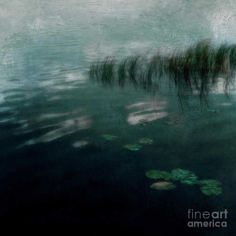 Nightfall at the pond Photograph by Priska Wettstein