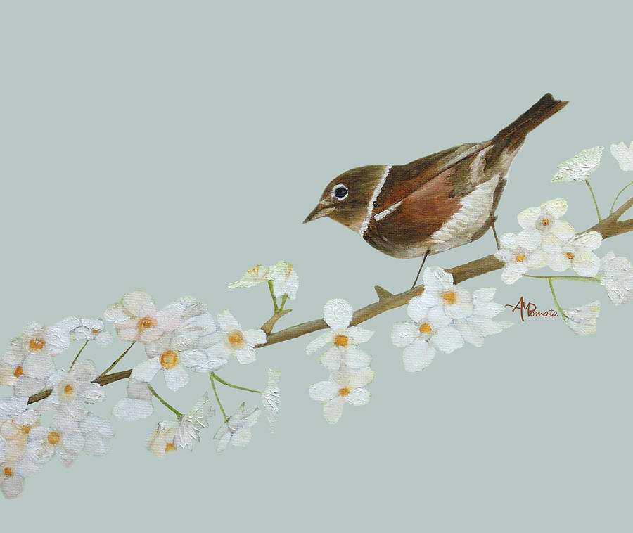 Nightingale Among Almond Flowers I Painting by Angeles M Pomata