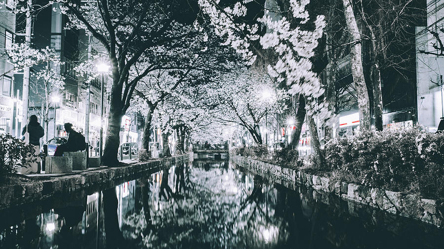 Nightscapes, Sakura, Kyoto Photograph by Eugene Nikiforov