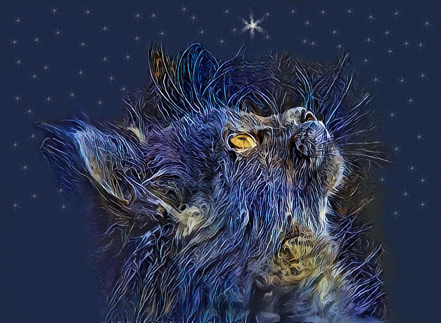 Nighttime Cats Wonder Abstract Mixed Media by Sandi OReilly
