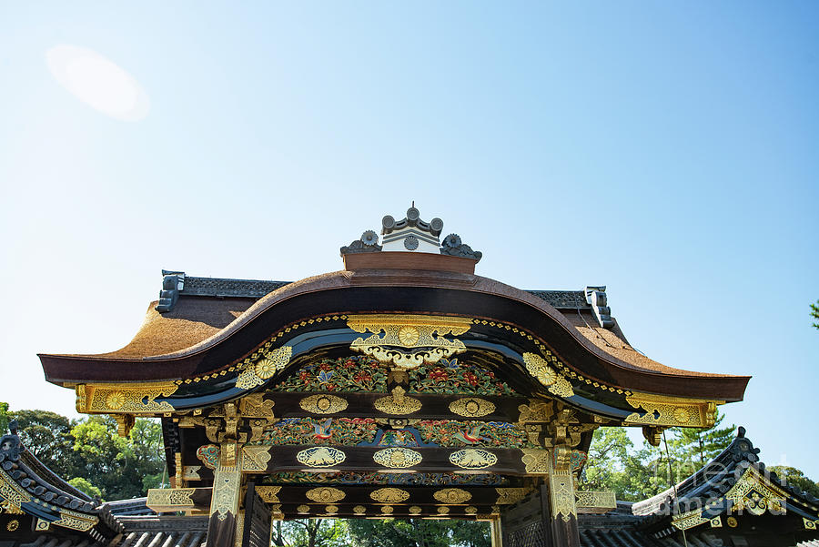 Nijo Castle - Kyoto Photograph by David Bearden