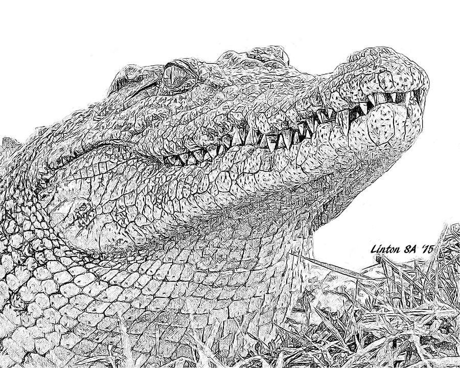 Nile Crocodile Digital Art by Larry Linton