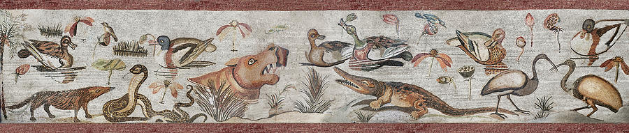  Nile Scene Roman Mosaic - Pompei - Naples Archaeological Museum  Photograph by Paul E Williams