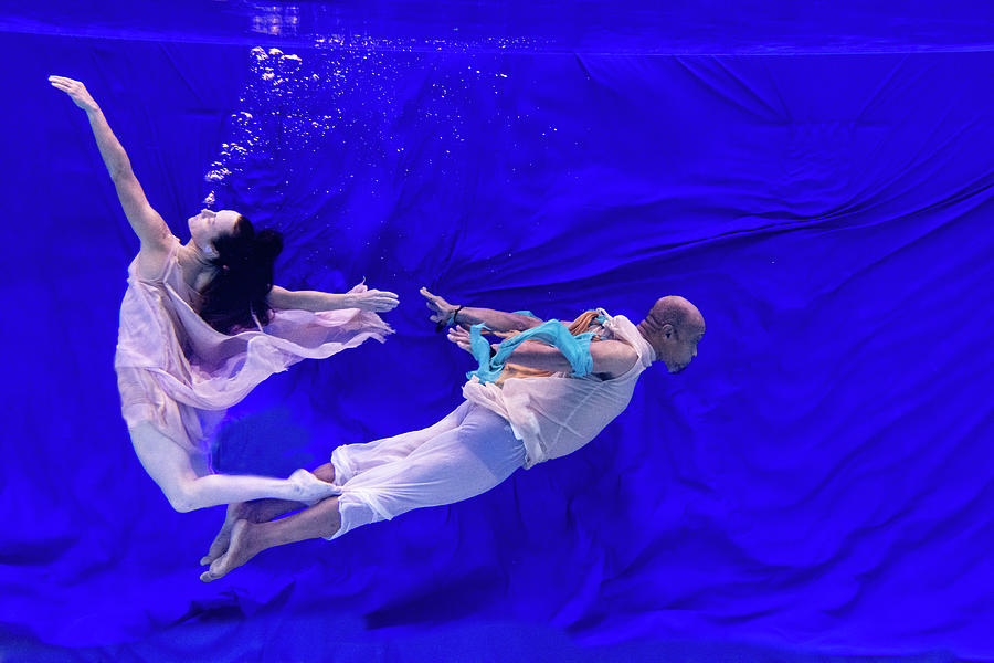 Nina and General dancing underwater in front of blue background 5 Photograph by Dan Friend