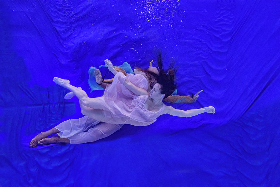 Nina and General dancing underwater in front of blue background 7 Photograph by Dan Friend