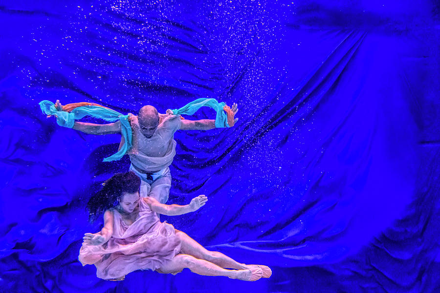 Nina and General dancing underwater in front of blue background 9 Photograph by Dan Friend