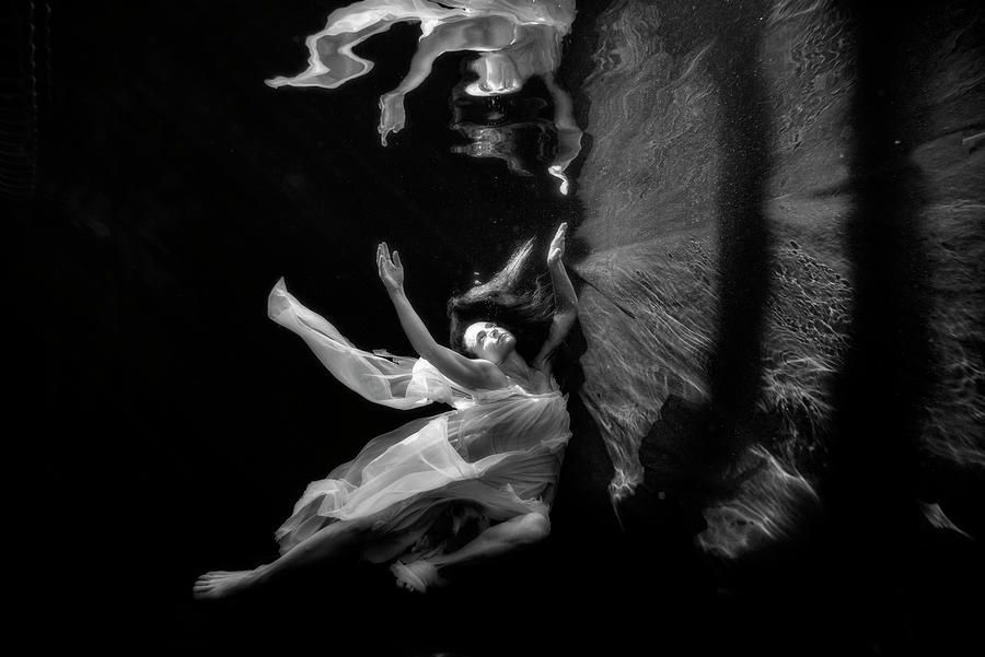 Nina floating in water looking at her reflection BW Photograph by Dan Friend