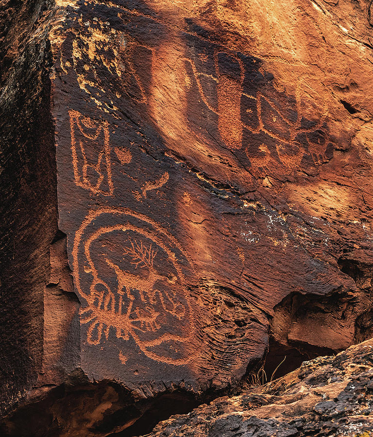 Nine Mile Canyon Elk Petroglyph Photograph by Abbie Matthews
