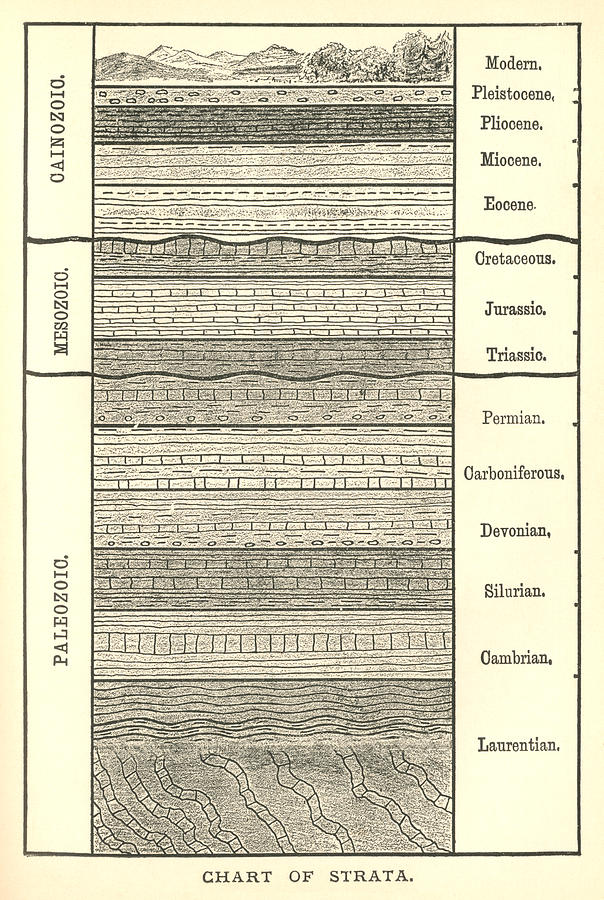 Nineteenth century chart of the Earths strata Drawing by Whitemay