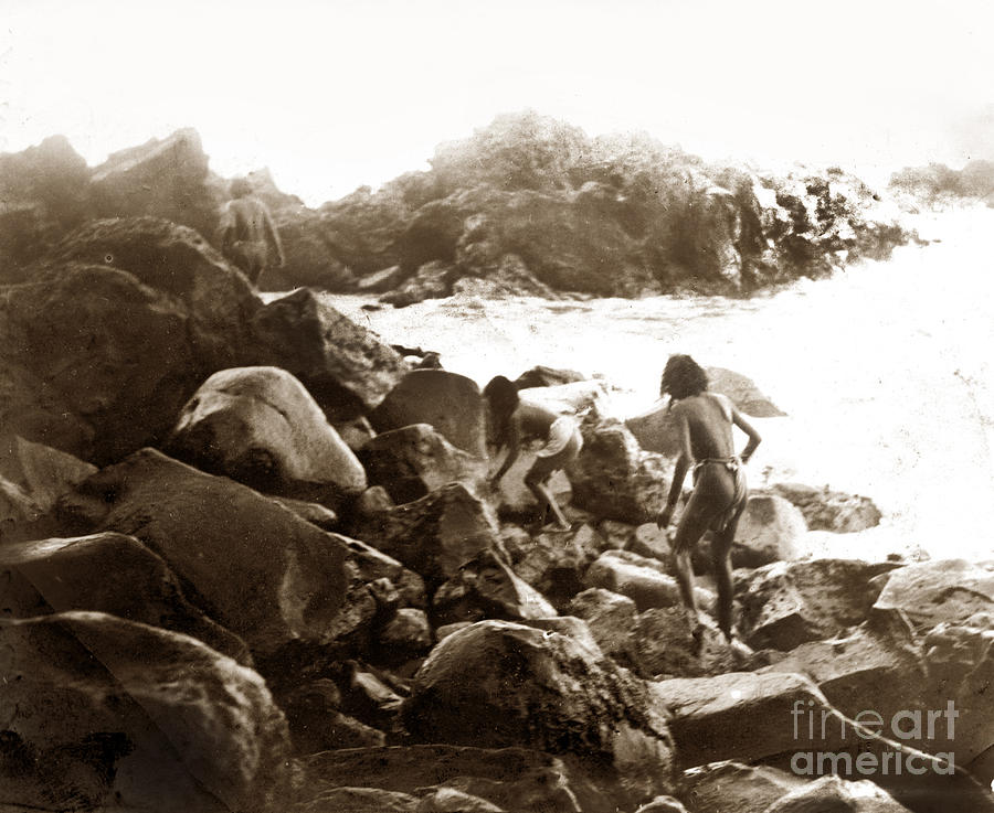 Nineteenth Century Photograph - Nineteenth century  First nation peoples collecting shellfish  o by Monterey County Historical Society
