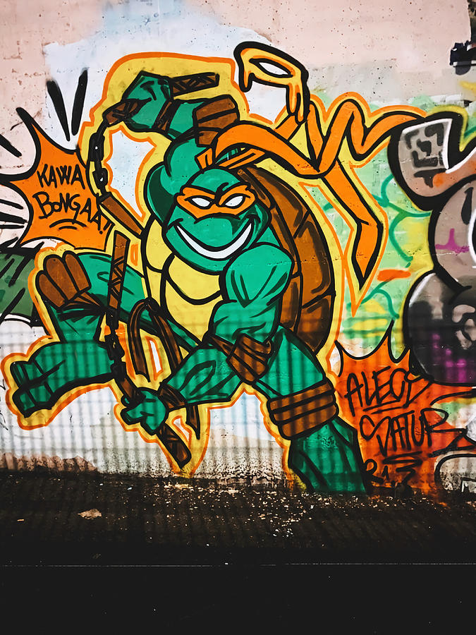 Ninja Turtle Graffiti Poster Boy Painting By Shaw Heather Fine Art