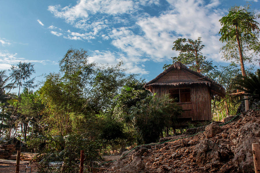 Nipa hut house with trees Photograph by Chris Dela Cruz